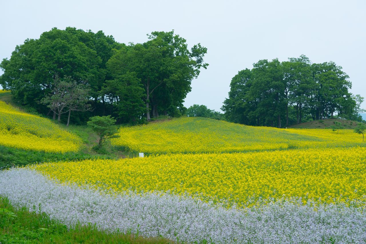 ホテル 山形屋 Kitakata エクステリア 写真
